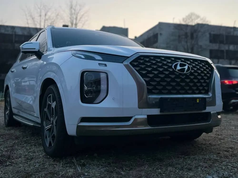 Hyundai Palisade 2022 — привезён RAUD